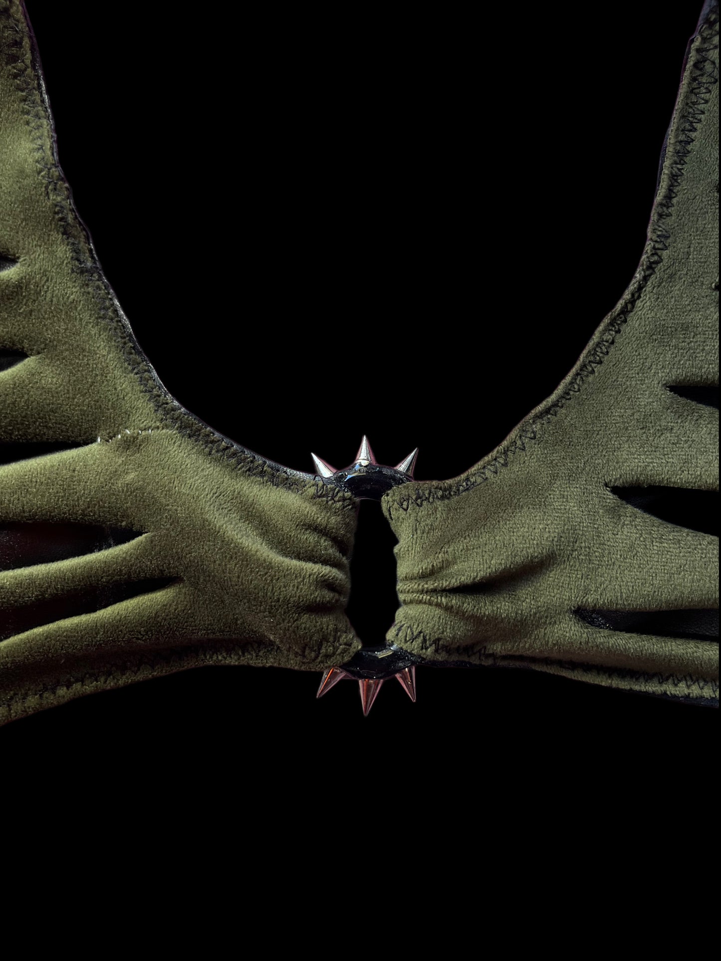 Dune_lizard_top.F7