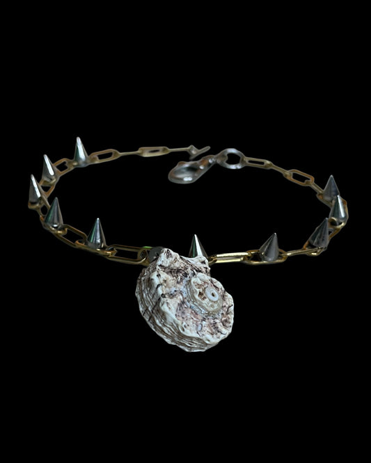 Ammonite_necklace.F7